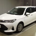 Toyota Corolla Fielder под заказ с аукционов Японии. Цены на конец мая — начало июня 2022 года.
